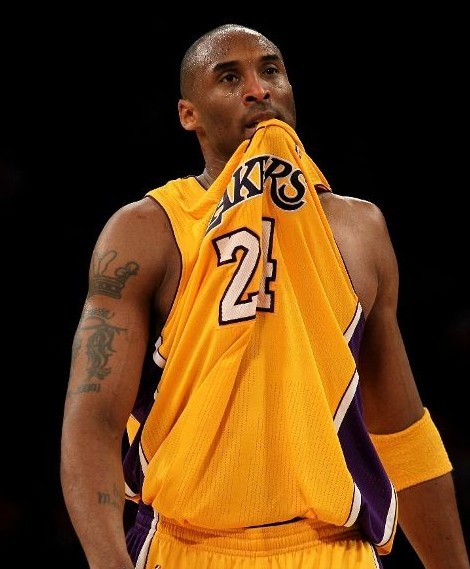 伤害窗内猫 伤害窗内猫