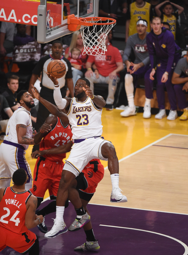 肌腱与小肌 肌腱与小肌